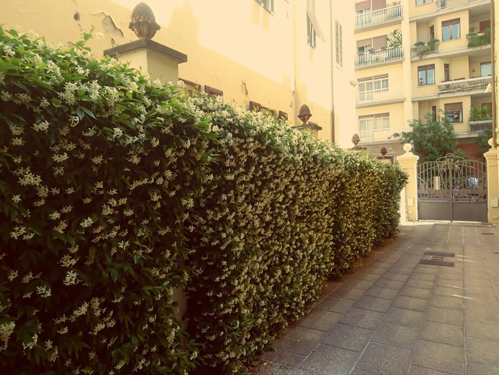 Hotel Della Robbia Florença Exterior foto